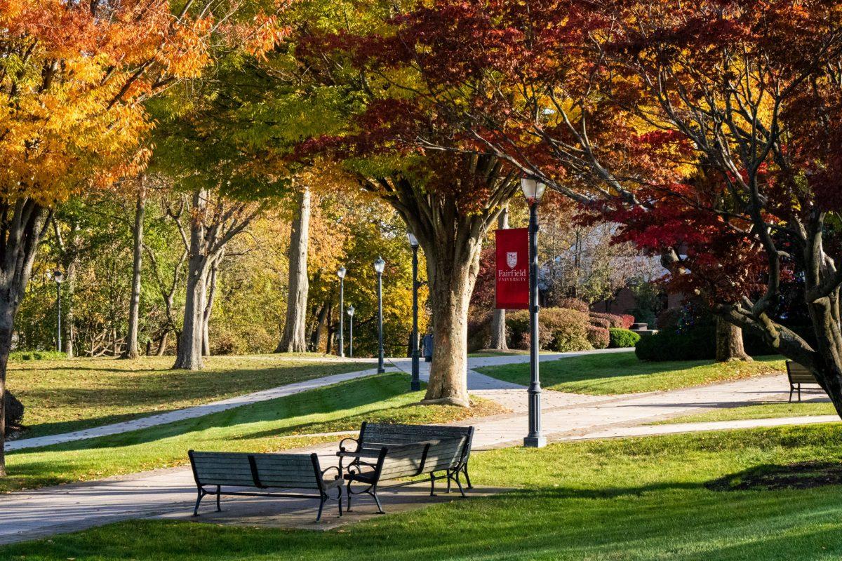 advertising,  aerial,  beauty,  campus,  drone,  facilities,  fall,  Bench,  Furniture,  Grass,  Lawn,  Outdoors,  Park,  Park Bench,  Plant,  Tree,  Tree Trunk
Fall Campus