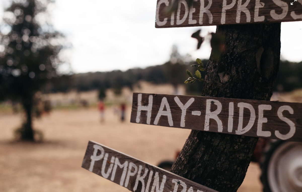 Photo courtesy of @Patrick Fore via Unsplash