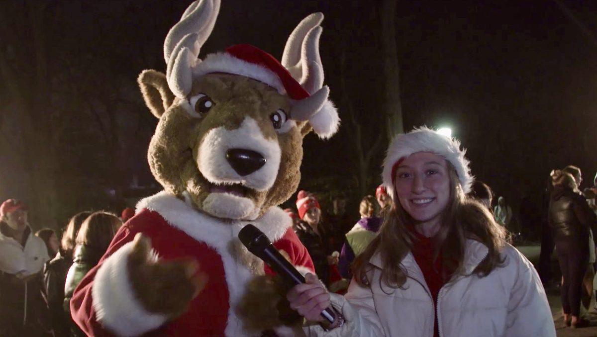 What Do Stags Really Want for Christmas This Year?