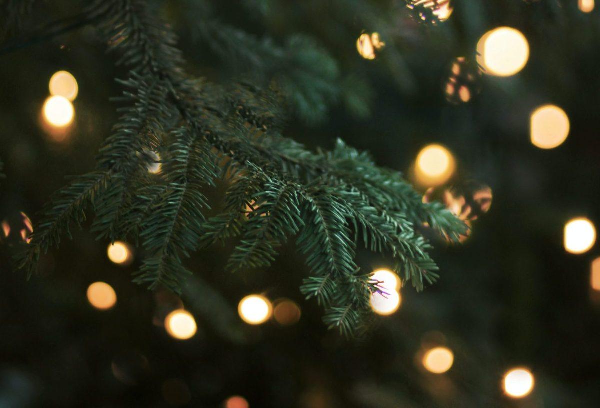 What's The Deal with Airplane Food? S2 Ep. 8