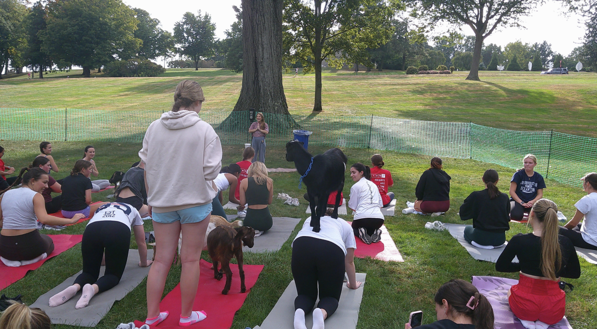 A Friendly Review of Goat Yoga