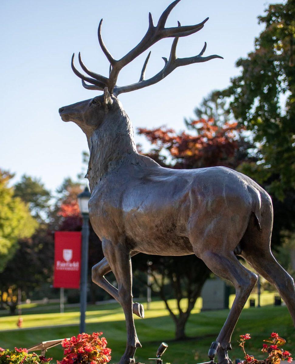 Class of 2029 Breaks Admissions Records; Students Reflect on Possibility of Another Large Class