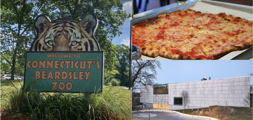 Sunny Days Ahead: Best Springtime Activities to Try