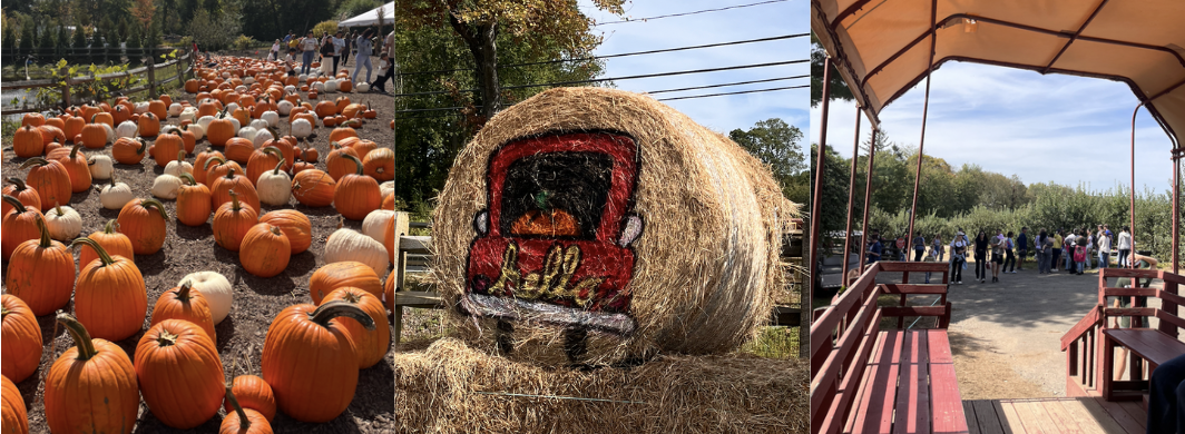 Farms and Frights: a Fun-filled Fall Festivity Bucket List