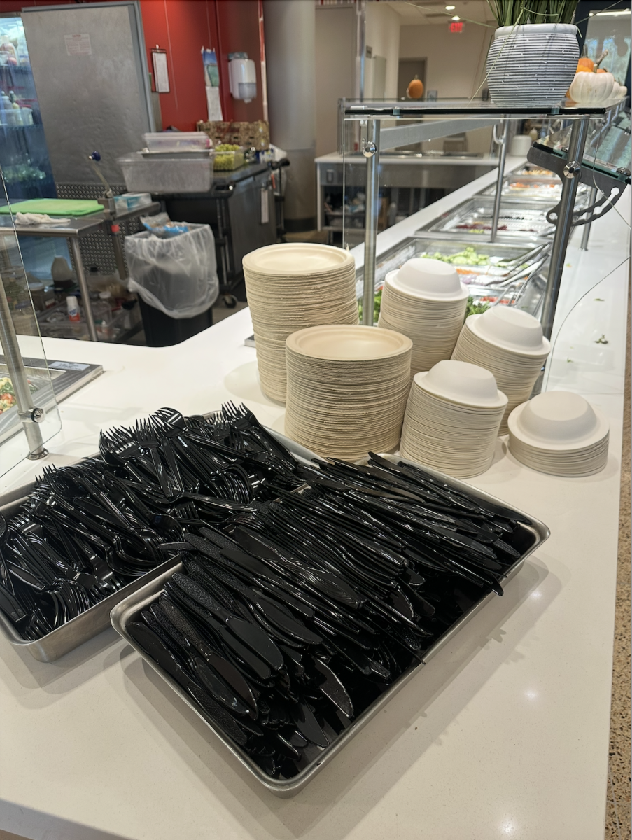 Paper Plates and Plastic Utensils: Students React to Tully Dining