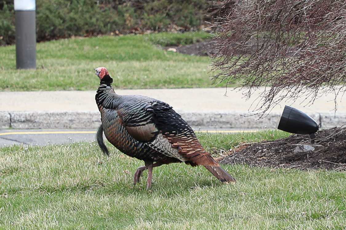 Photo by Fairfield Marketing Production Team