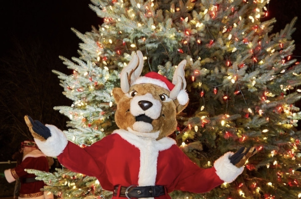 Join the Holiday Fun: Tree Lighting After Thanksgiving Break!